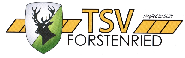 Logo TSV